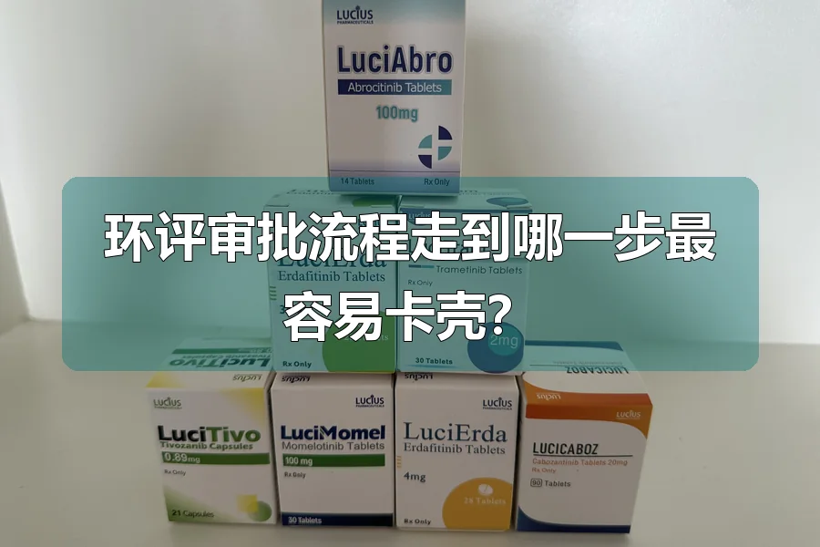 环评审批流程走到哪一步最容易卡壳?