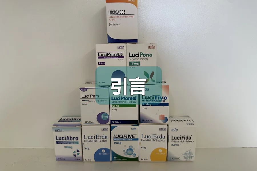 引言